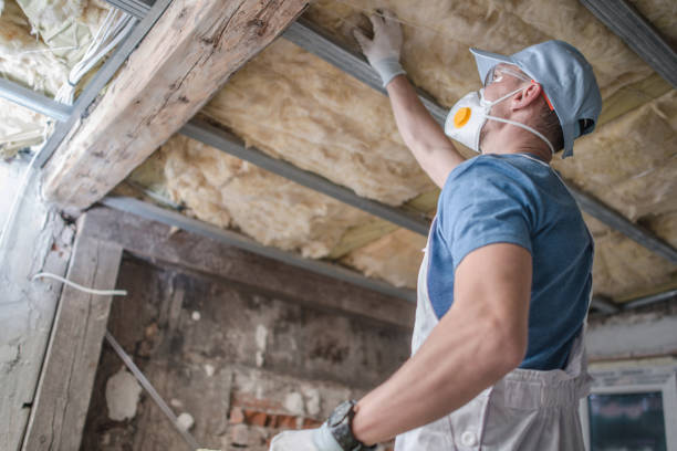 Best Insulation Installation Services in Holly, MI