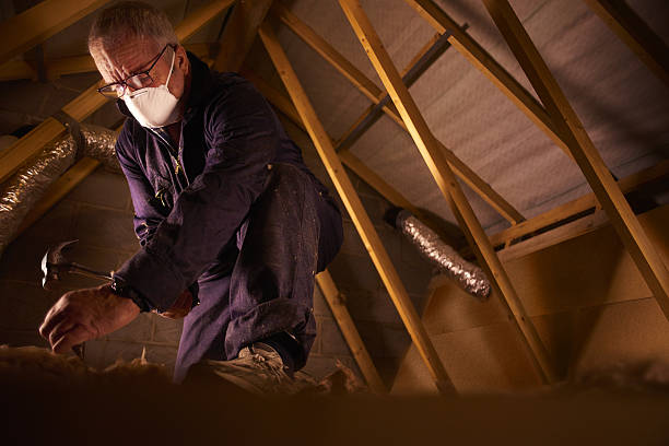 Best Types of Insulation in Holly, MI
